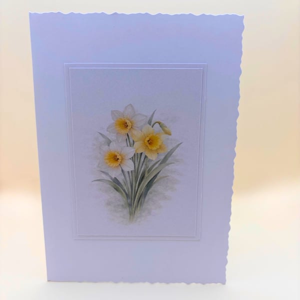 A6 Card set of 4 - Daffodil Birth Flower Botanical Blank Greeting Cards