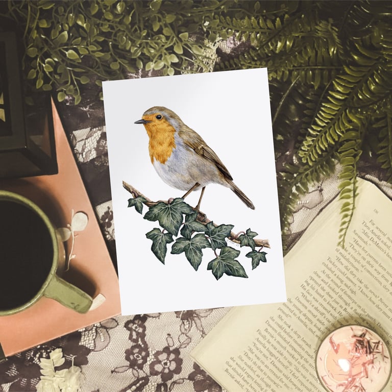A5 British Robin & Ivy Art Print - Scottish bird life from original watercolours
