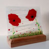 Fused Glass Poppy Suncatcher in handmade oak stand, everlasting flower