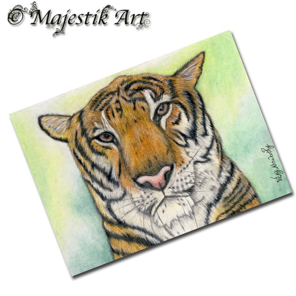 Archival ACEO Tiger 'Contemplation' By V Kenworthy