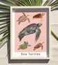 Sea Turtles Illustrated Scientific Art Print Pink - Image 4