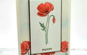 BLANK AND ALL OCCASIONS CARDS