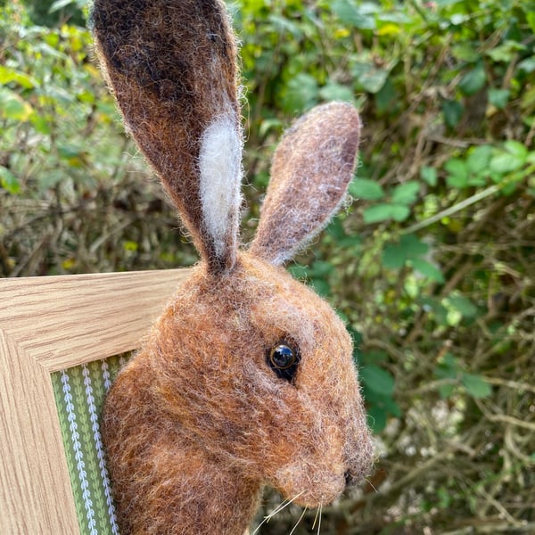 Hare Head Needle Felt Sculpture in Frame - Custom Made 