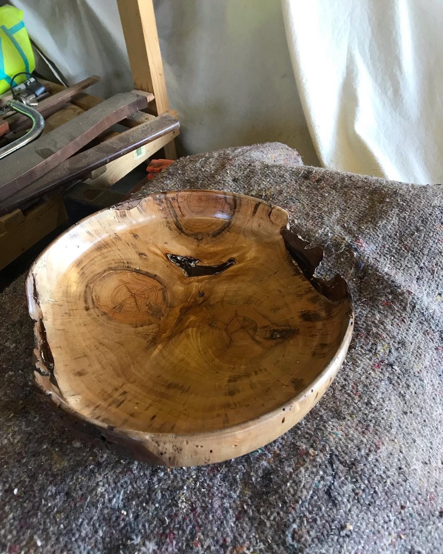 Large live edge display fruit bowl