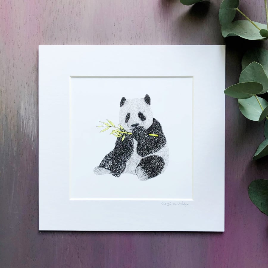 'Pandora' 8" x 8" Mounted Print