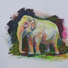 Elephant Original Art Animal Painting OOAK