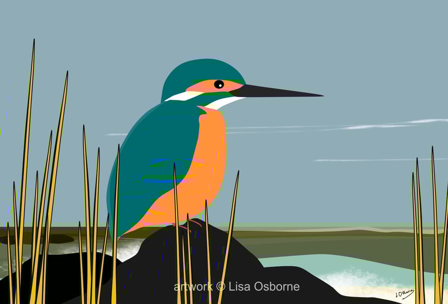 Kingfisher - bird art print