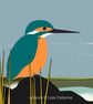 Kingfisher - bird art print - Image 1