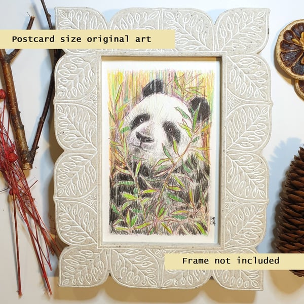 Little panda drawing, letterbox art gift, original drawing