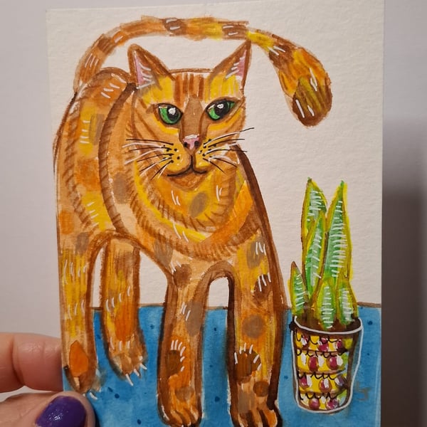 Bengal Cat and Snake Plant illustration