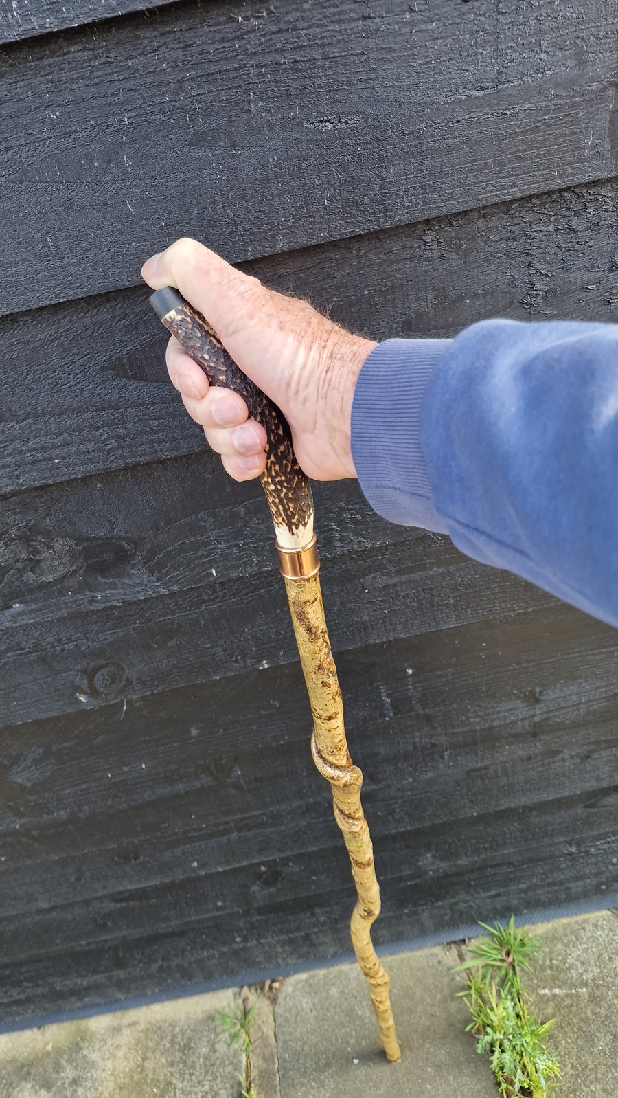 Twisted Hazel walking stick, Hiking staff, Farmers Market stick 