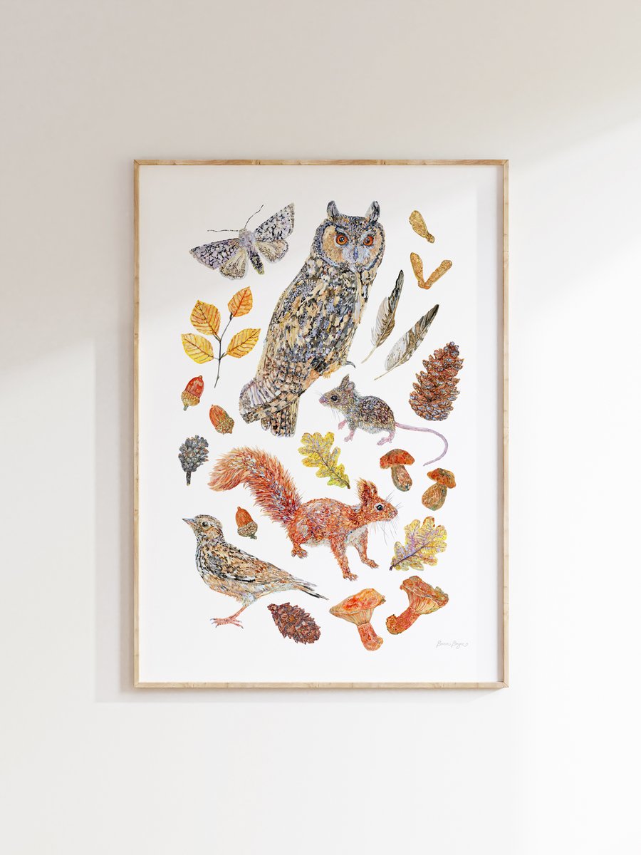 Autumnal British Nature - Watercolour art printed sustainably