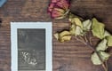 Mezzotints 