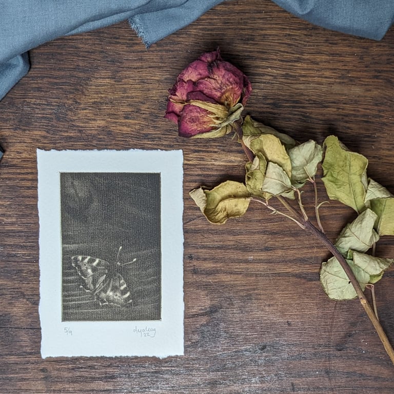 Ghosts xii - hand printed mezzotint of a butterfly