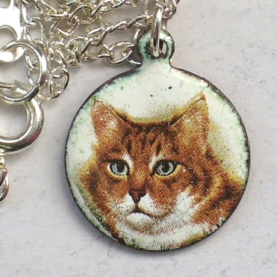ginger cat pendant, transfer picture on white