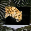 Exclusive Handmade Leopard Greetings Card on Archive Photo Paper