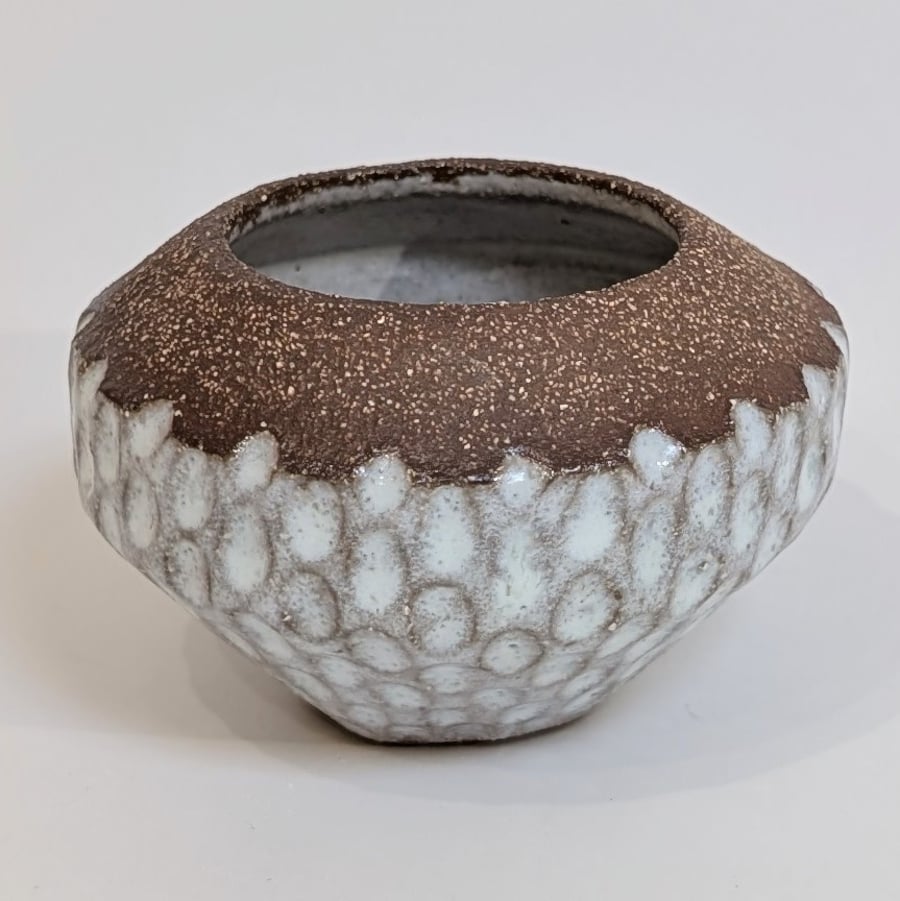 Coiled and hand-carved bowl