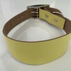 Custom Yellow leather collar for greyhound and red leather collar