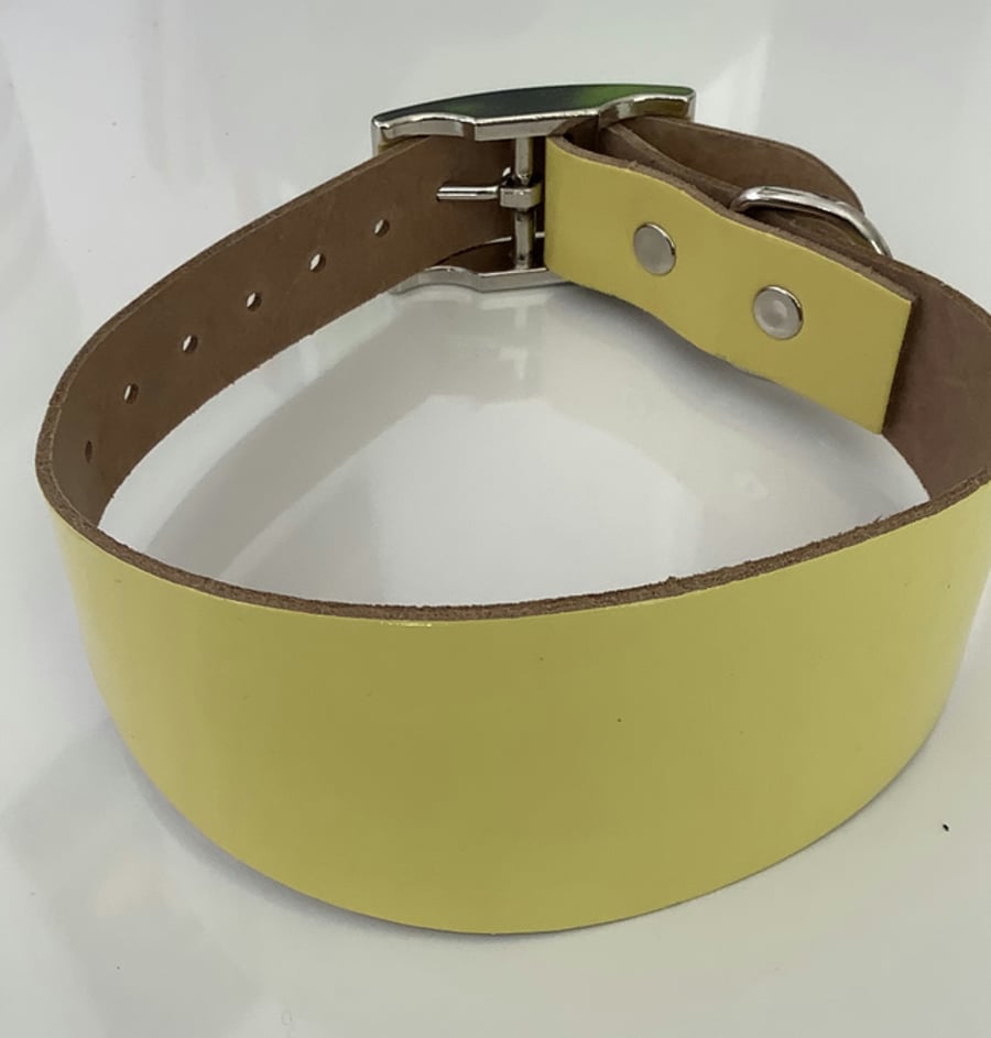 Custom Yellow leather collar for greyhound and red leather collar