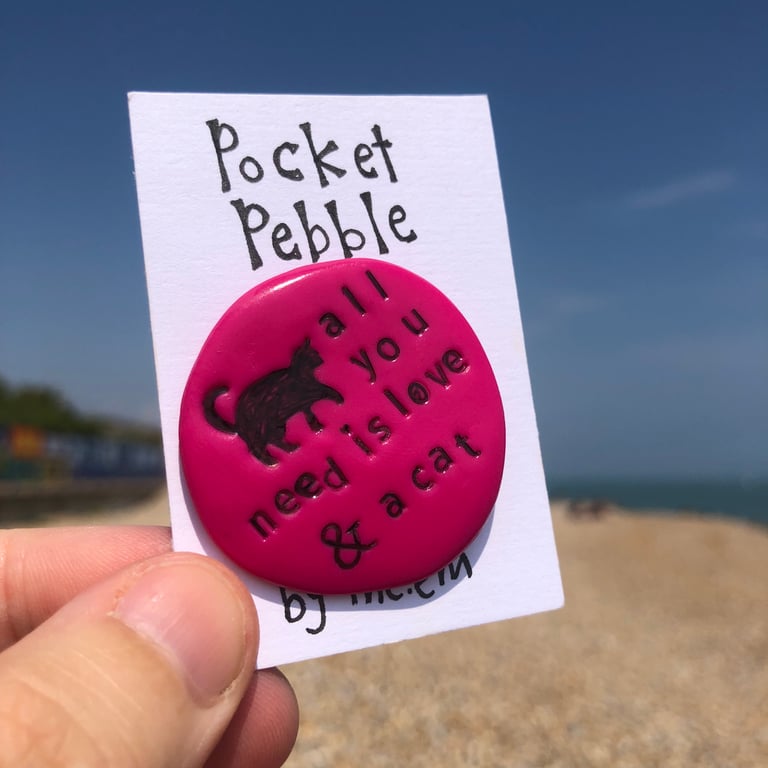 All You Need is Love and a Cat Pocket Pebble Gift for Animal Lover