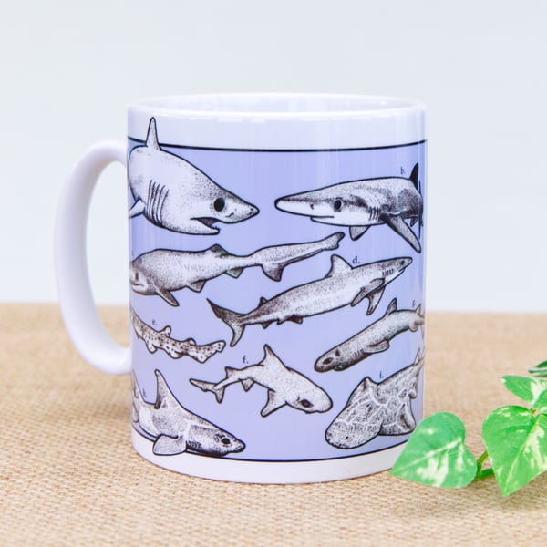 Sharks of Britain Coffee Tea Drinks Mug
