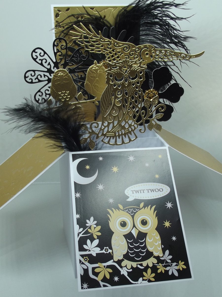 Birthday Card with Owls