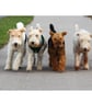 Four Terriers Greeting Card - Image 2