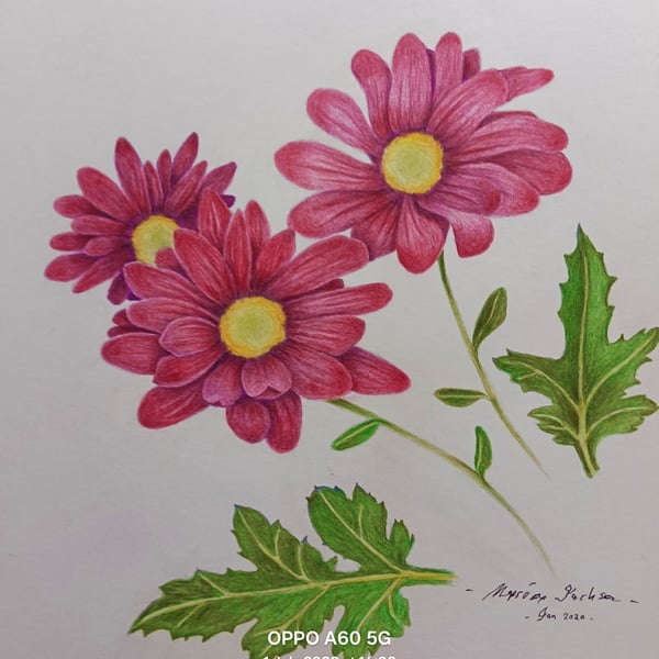 SUMMER FLOWERS - 1
