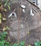 Metal Snowdrops (Set of 3), Rusty Metal Garden Flower, Autumn Garden Art
