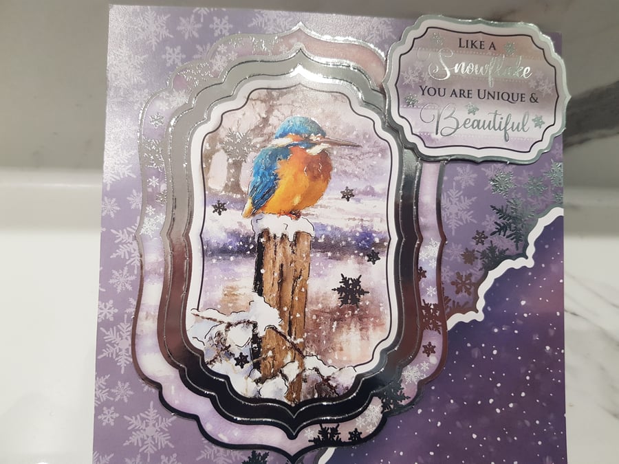 Christmas Kingfisher bird cards