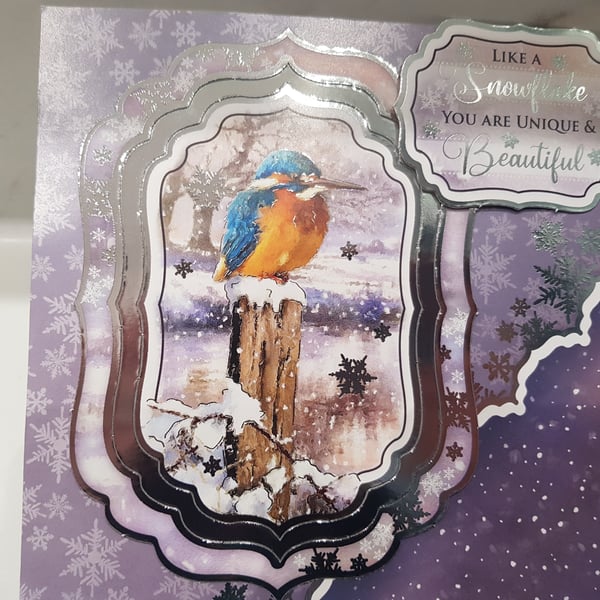 Christmas Kingfisher bird cards