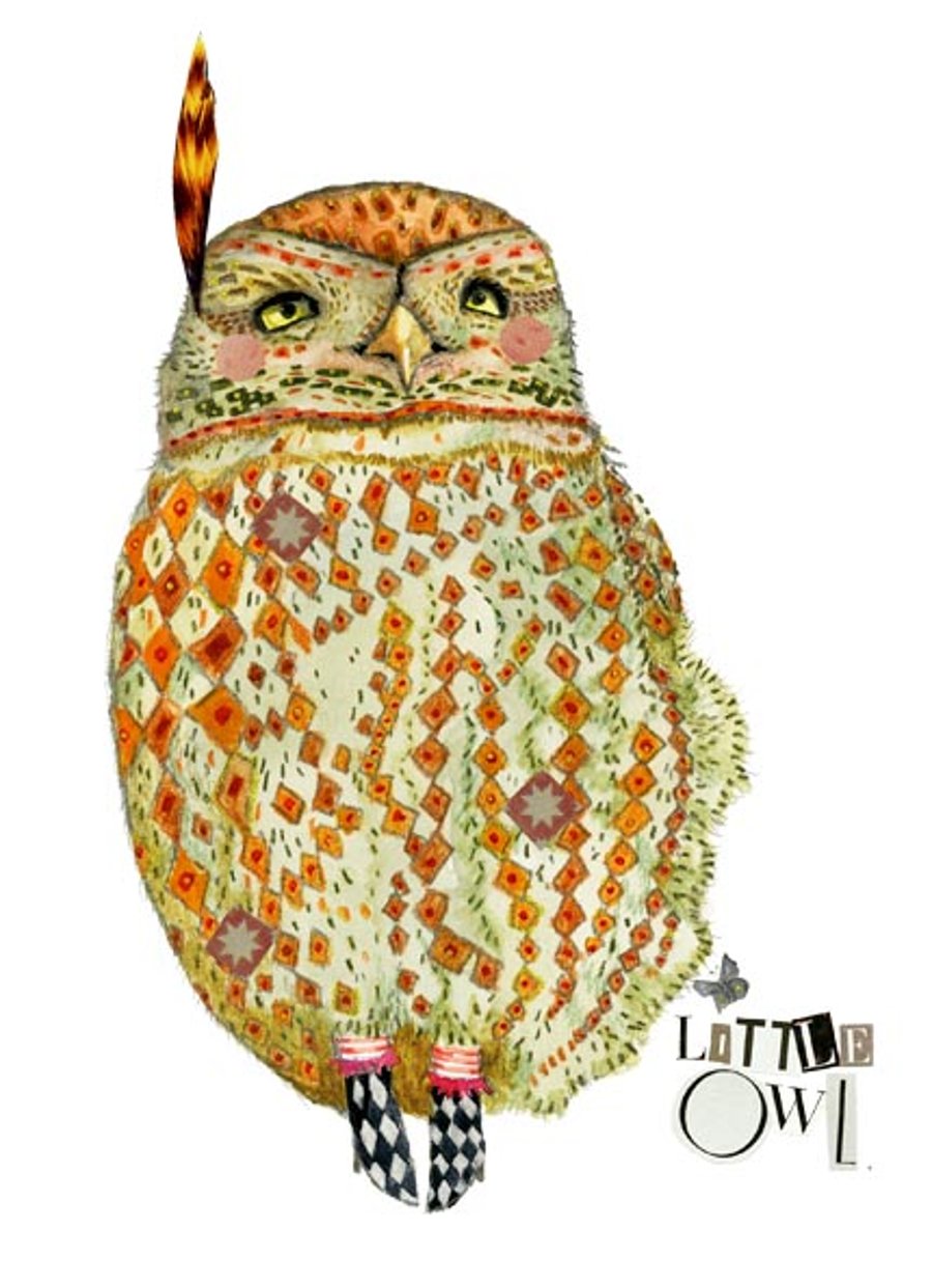Owl Giclee print A4 Little Owl print 