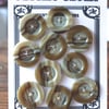 10 Vintage 'Horn' Buttons