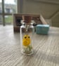 Chick in the bottle  - Image 2
