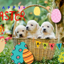 Happy Easter Labrador Puppies Card A5