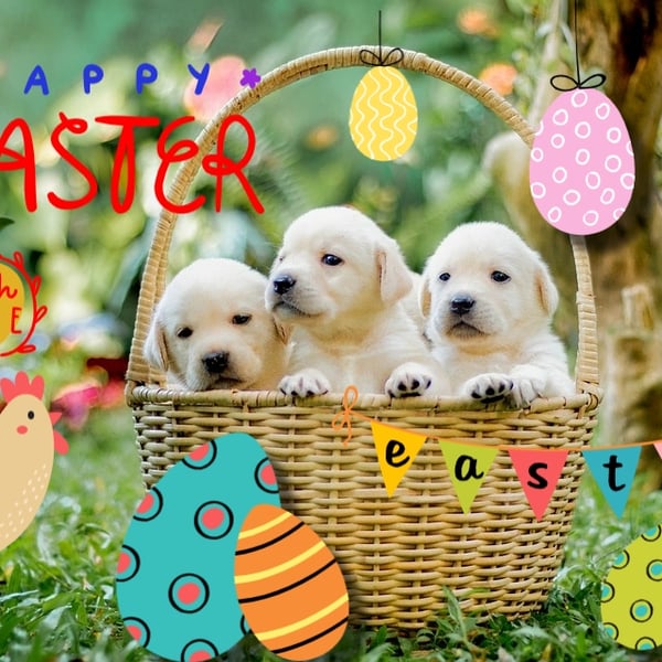 Happy Easter Labrador Puppies Card A5