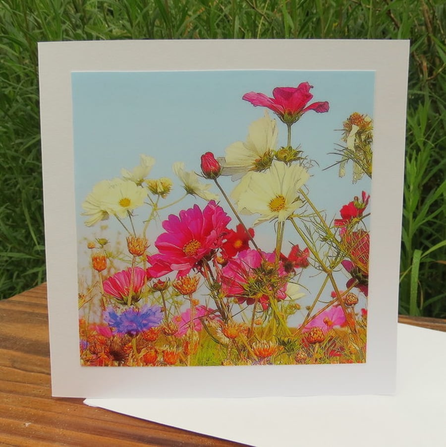 Summer meadow.  A card featuring an original photograph.  Blank inside.