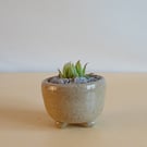 Handmade Stoneware Succulent Pot – Series A