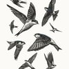 Housemartins A3 poster-print