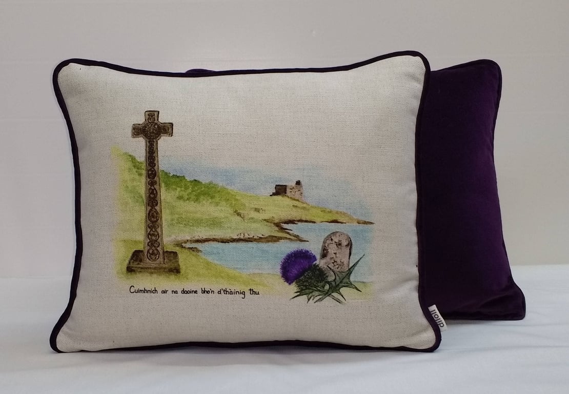 Handmade cushion using our own artwork, backed with velvet.