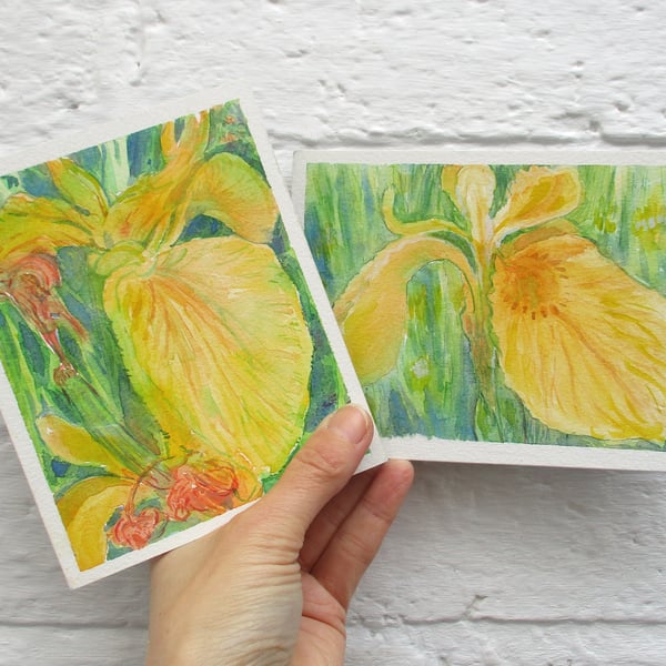 Original Watercolour Paintings - Yellow Flag Iris - Set of Two