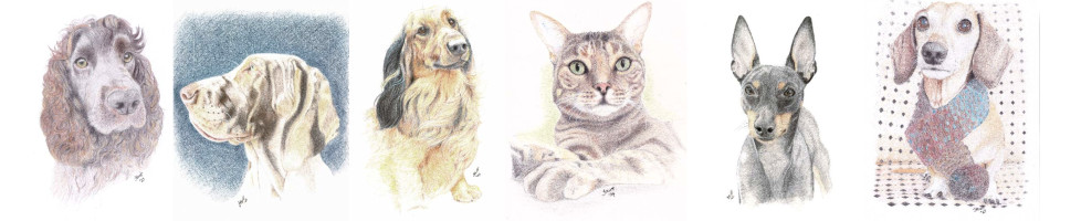 Drakkina Design Studio