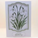 Snowdrop Birthday Card - January Birth Flower