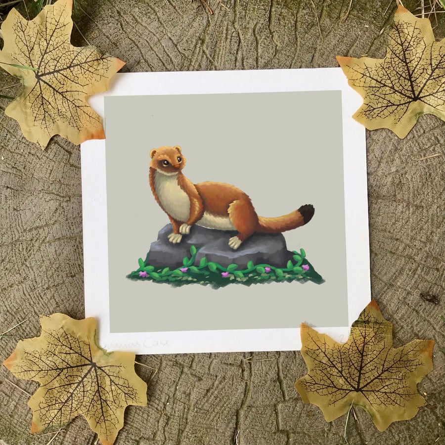 Stoat Art Print