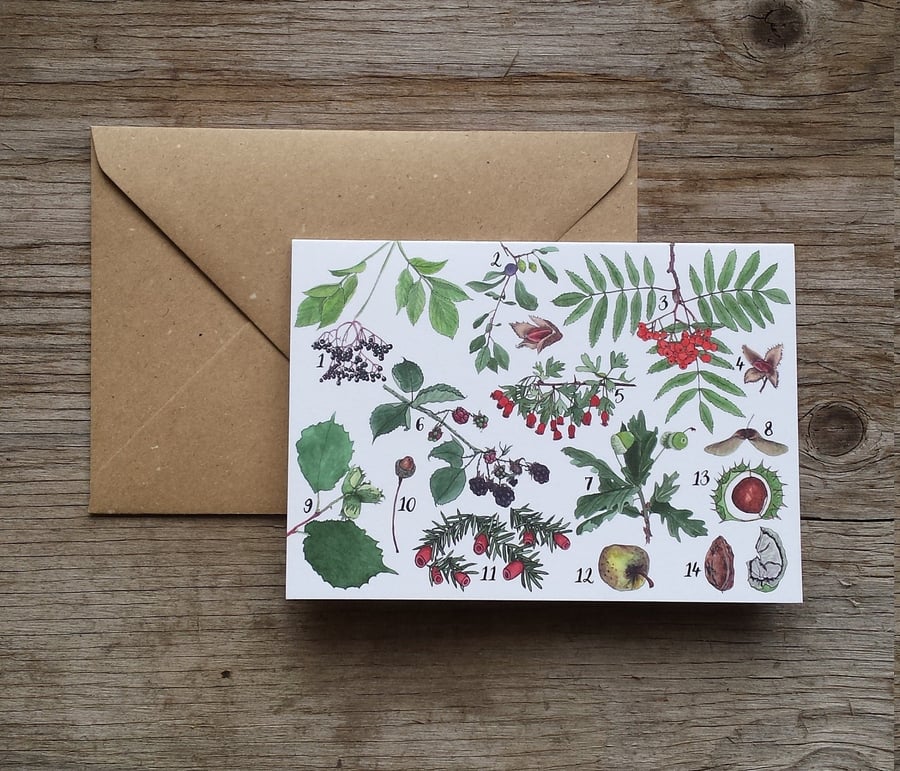 Tree-mendous autumn Greeting Card by Alice Draws The Line featuring a range of w