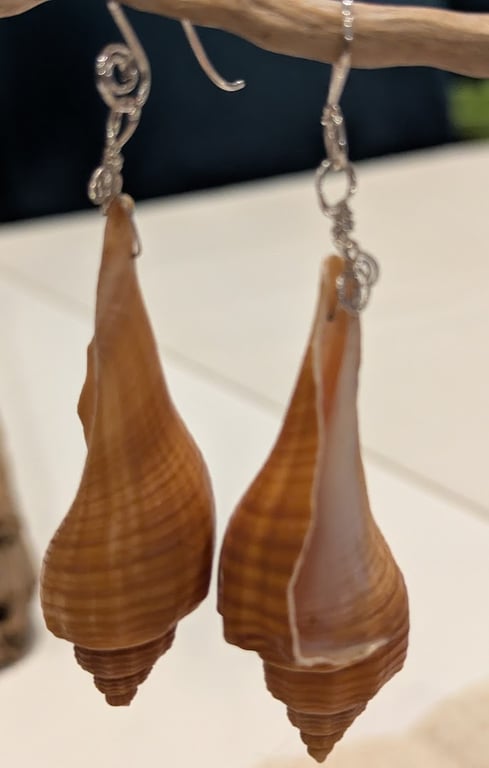 Real Conch Shell on Recycled Sterling Silver earwires