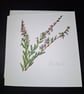 Original Hand Painted Greetings Card- Heather