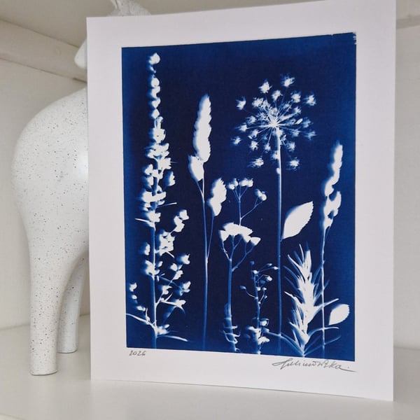 Cyanotype Botanical Print No. 10