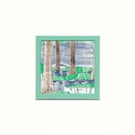 Bluebell wood a collage of spring 