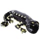 Salamander Ceramic Ornament - Hand Built - Image 7